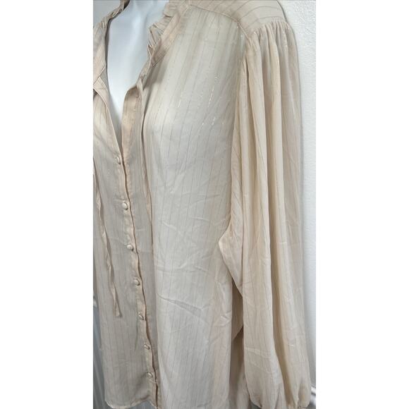 Torrid Chiffon L/S Blouse 3XL Button V-Neck Sheer Beige Gold Thread Academia - Picture 2 of 10